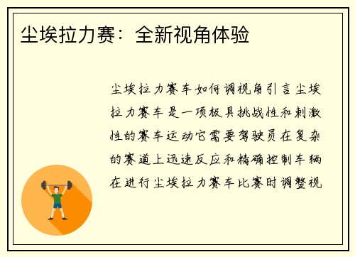 尘埃拉力赛：全新视角体验